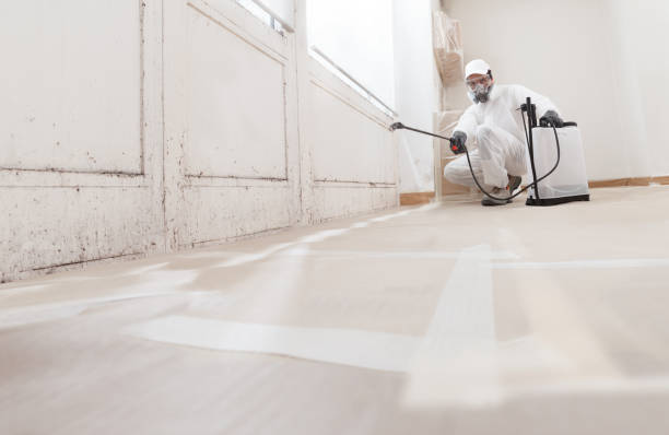 24/7 Emergency Mold Removal experts in Milton, FL