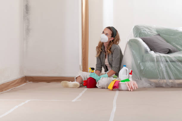 Reliable Mold Removal contractor in Milton, FL by WQB Mold Removal